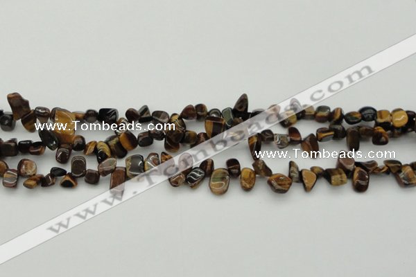 CCH638 15.5 inches 6*8mm - 10*14mm yellow tiger eye chips beads