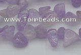 CCH641 15.5 inches 6*8mm - 10*14mm lavender amethyst chips beads