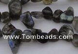 CCH642 15.5 inches 6*8mm - 10*14mm labradorite chips beads