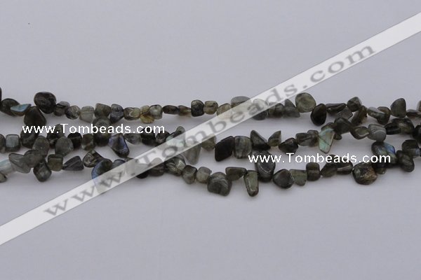 CCH642 15.5 inches 6*8mm - 10*14mm labradorite chips beads