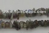 CCH645 15.5 inches 4*6mm - 5*8mm labradorite chips beads