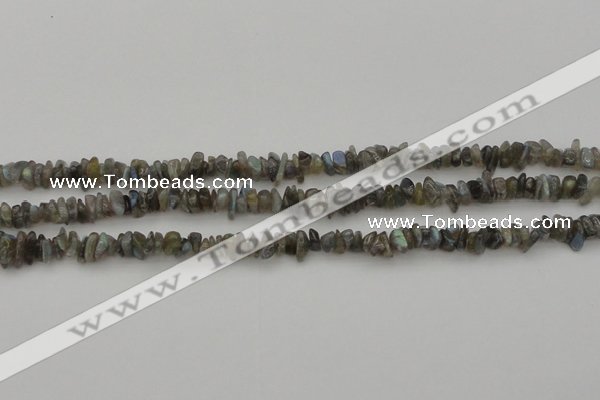 CCH645 15.5 inches 4*6mm - 5*8mm labradorite chips beads