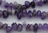 CCH649 15.5 inches 4*6mm - 5*8mm amethyst gemstone chips beads