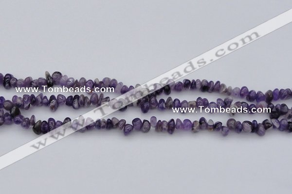 CCH649 15.5 inches 4*6mm - 5*8mm amethyst gemstone chips beads