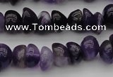 CCH650 15.5 inches 4*6mm - 5*8mm amethyst gemstone chips beads