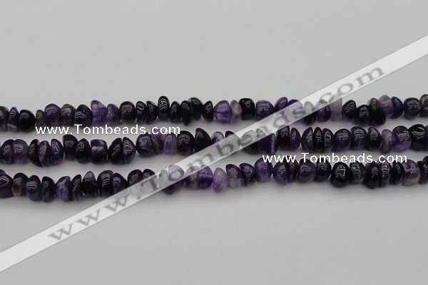 CCH650 15.5 inches 4*6mm - 5*8mm amethyst gemstone chips beads