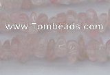 CCH653 15.5 inches 5*8mm - 6*10mm rose quartz chips beads