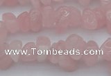 CCH654 15.5 inches 8*12mm - 10*14mm rose quartz chips beads