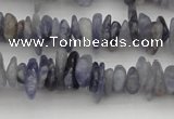 CCH658 15.5 inches 4*6mm - 5*8mm iolite gemstone chips beads