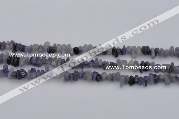 CCH659 15.5 inches 5*8mm - 6*10mm iolite gemstone chips beads