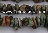 CCH662 15.5 inches 5*8mm - 6*10mm rhyolite gemstone chips beads