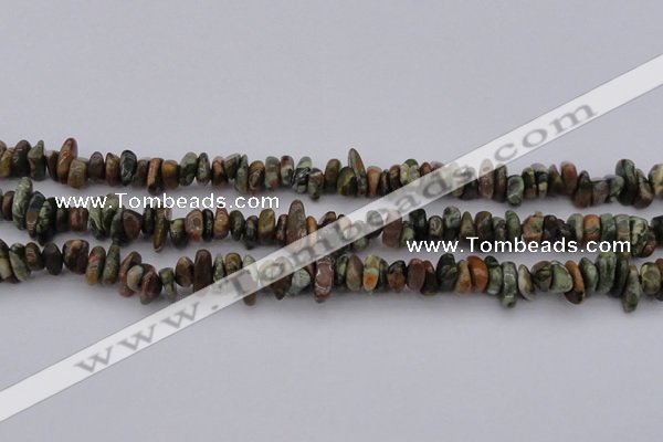 CCH662 15.5 inches 5*8mm - 6*10mm rhyolite gemstone chips beads