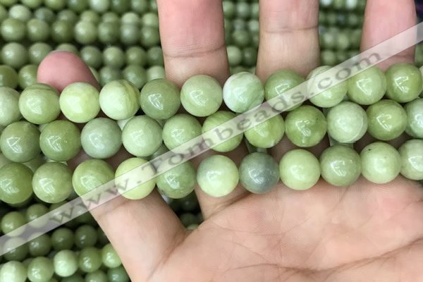 CCJ313 15.5 inches 10mm round China jade beads wholesale