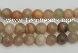 CCS303 15.5 inches 8mm round natural sunstone beads wholesale