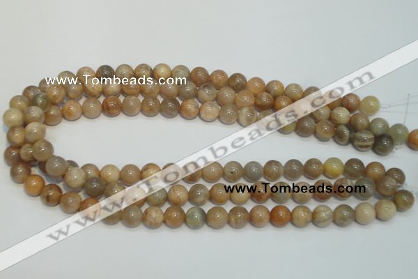 CCS304 15.5 inches 10mm round natural sunstone beads wholesale