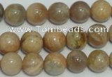 CCS305 15.5 inches 12mm round natural sunstone beads wholesale