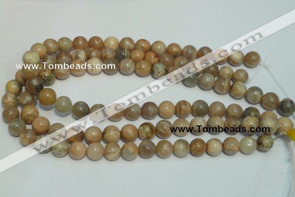 CCS305 15.5 inches 12mm round natural sunstone beads wholesale