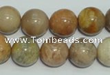 CCS307 15.5 inches 16mm round natural sunstone beads wholesale