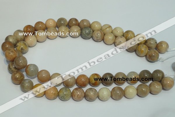 CCS307 15.5 inches 16mm round natural sunstone beads wholesale