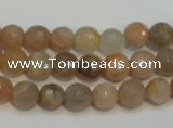 CCS311 15.5 inches 8mm faceted round natural sunstone beads