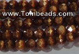 CCT319 15 inches 4mm faceted round cats eye beads wholesale