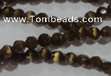 CCT320 15 inches 4mm faceted round cats eye beads wholesale