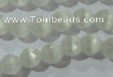 CCT351 15 inches 6mm faceted round cats eye beads wholesale