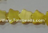 CCT840 15 inches 8mm star cats eye beads wholesale