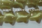 CCT866 15 inches 10mm star cats eye beads wholesale