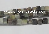 CCU16 15.5 inches 4*4mm cube silver leaf jasper beads wholesale