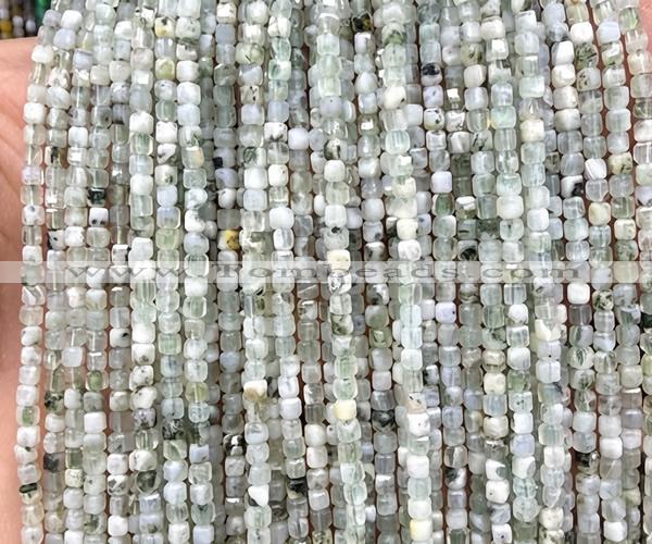 CCU1697 15 inches 2.5mm faceted cube tree agate beads