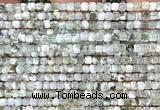 CCU1697 15 inches 2.5mm faceted cube tree agate beads
