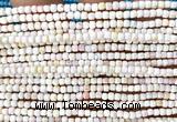 CCU1718 15 inches 2.5mm faceted cube pink queen conch shell beads