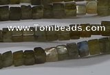 CCU311 15.5 inches 4*4mm cube labradorite beads wholesale