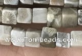 CCU458 15.5 inches 4*4mm cube fossil coral beads wholesale