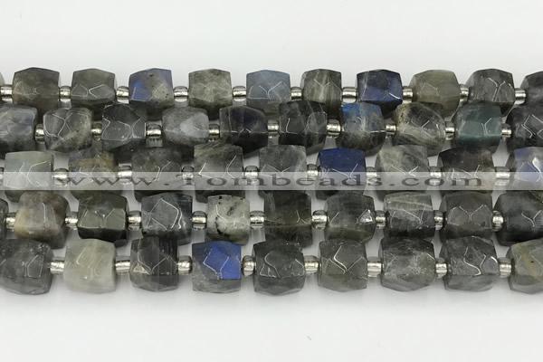 CCU786 15 inches 10*10mm faceted cube labradorite beads