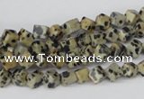 CCU93 15.5 inches 4*4mm cube dalmatian jasper beads wholesale