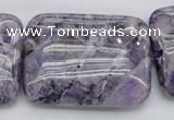 CDA313 15.5 inches 30*40mm rectangle dyed dogtooth amethyst beads