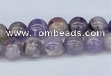 CDA52 15.5 inches 8mm round dogtooth amethyst beads wholesale