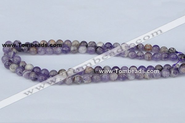 CDA52 15.5 inches 8mm round dogtooth amethyst beads wholesale