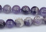 CDA53 15.5 inches 10mm round dogtooth amethyst beads wholesale