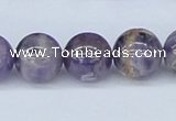 CDA55 15.5 inches 14mm round dogtooth amethyst beads wholesale