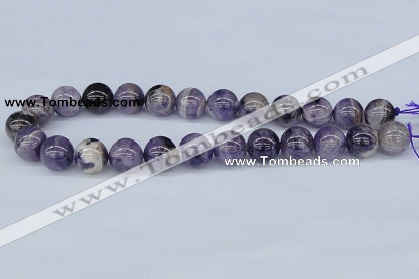 CDA56 15.5 inches 16mm round dogtooth amethyst beads wholesale