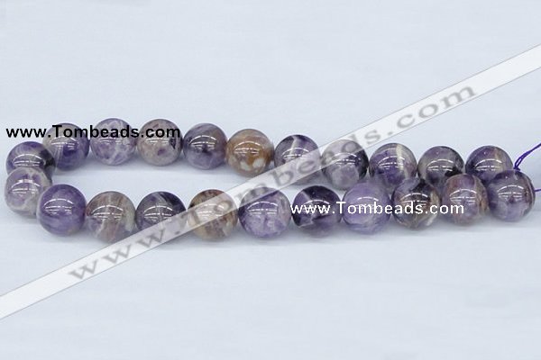 CDA57 15.5 inches 18mm round dogtooth amethyst beads wholesale