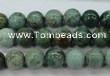 CDB42 15.5 inches 10mm round new dragon blood jasper beads