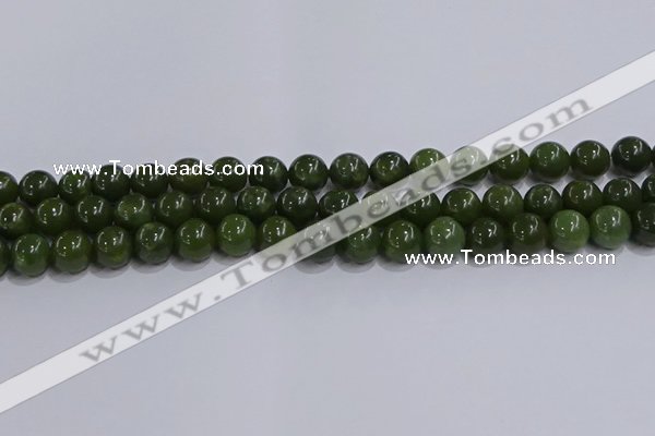 CDJ273 15.5 inches 10mm round Canadian jade beads wholesale