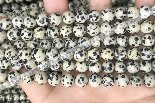 CDM93 15.5 inches 10mm round dalmatian jasper beads wholesale