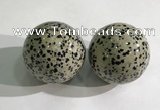 CDN1280 40mm round dalmatian jasper decorations wholesale