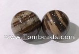 CDN1291 40mm round zebra jasper decorations wholesale