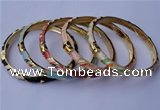 CEB05 5pcs 6mm width gold plated alloy with enamel bangles wholesale